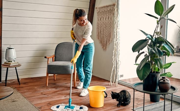 home cleaning